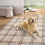 Area Rug-90394352-90394354