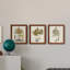 Fern Botanical I - Ensemble de 3 peintures sur toiles encadrées-772660934-772660936