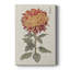 «Vibrant Mums III», impression sur toile tendue-793184669