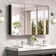 Gervon Rectangle Recessed or Surface Medicine Cabinet with Shelves and Mirror