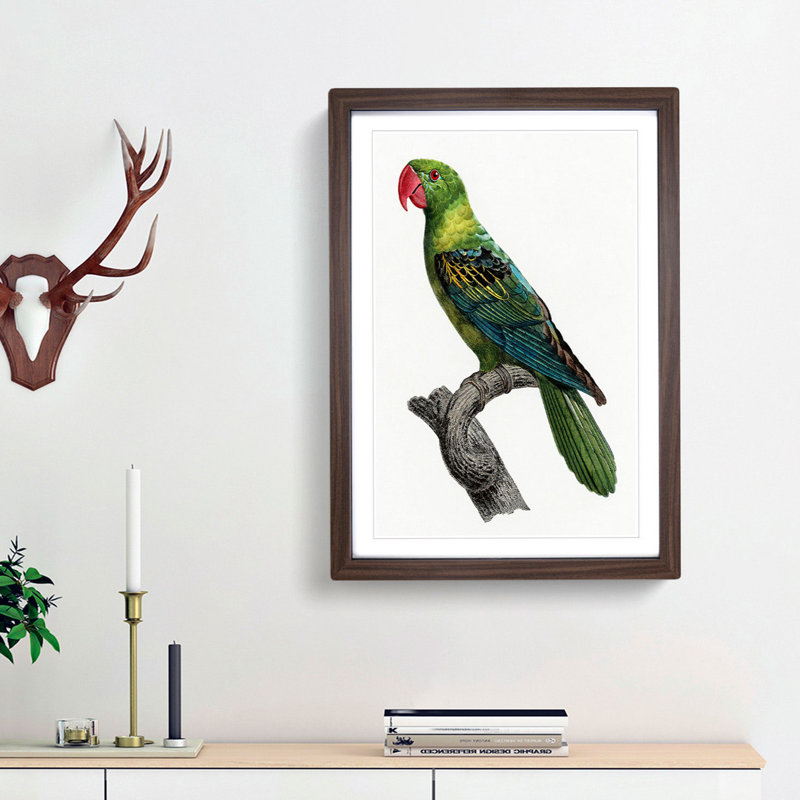Great-Billed Parrot by F. Levaillant - Picture Frame Painting Print, 65cm H x 48cm W x 2cm D, Walnut Framed