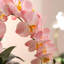 Ornements de fleurs simulées