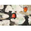Stepping Stones by Jim Stone - Wrapped Canvas Art Prints-1569825607