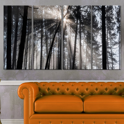 Sunbeams Through Black White Forest - 4 Piece Wrapped Canvas Photograph