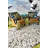 Bartletto Wool Geometric Indoor Rug-23283105
