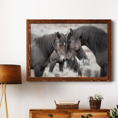 Chevaux sauvages - Photographie de cadre photo sur toile