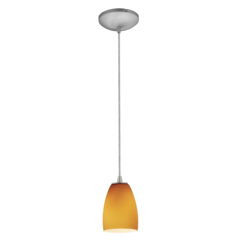 Luminaire suspendu 1 cloche pour une cloche Phinney, Acier brossé, Ambre