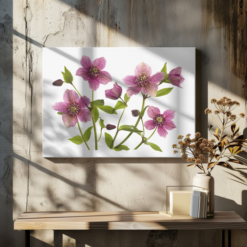 Wrapped Canvas Print, 50.8 cm H x 76.2 cm W
