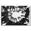 Group Huddle! Print-46774500-46829194