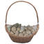 Karley Wicker Log Carrier