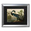 John James Audubon 'Louisiana Heron' Canvas Art-35748146-35748150