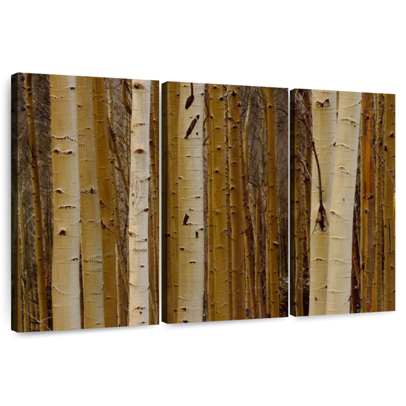 Alvord Aspen en hiver, H 32 po x l 50 po