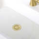Pop-Up Bathroom Sink Drain Stopper with Overflow