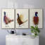 Pheasant Splash 3 3 pièces-91415681-91415684