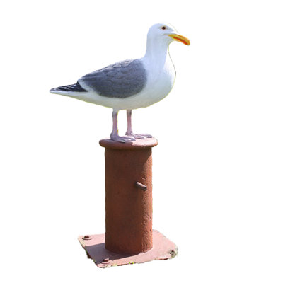 Seagull on Post Life Size Statue