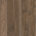 Standout Brown