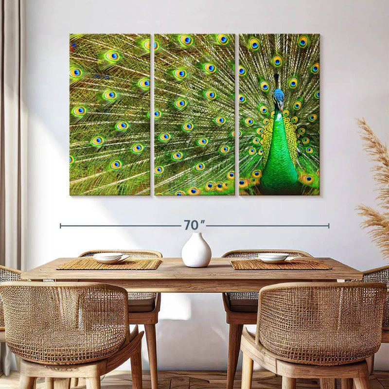 Brampt Showing Off Peacock Feathers, 42" H x 65" W