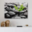 «Zen Stones Rain Drops over Black Rocks and Little Green Plants», reproduction de photo sur toile tendue-56324489