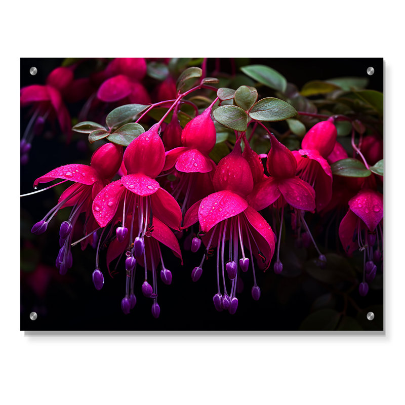 Fuchsia vivace fleurs II - décoration murale acrylique fuchsia, H 30 po x l 40 po