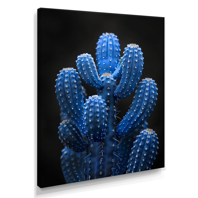 Cactus bleu clair et noir clair de lune - Cactus floral, Toile tendue, H 32 po x l 16 po x P 1 po