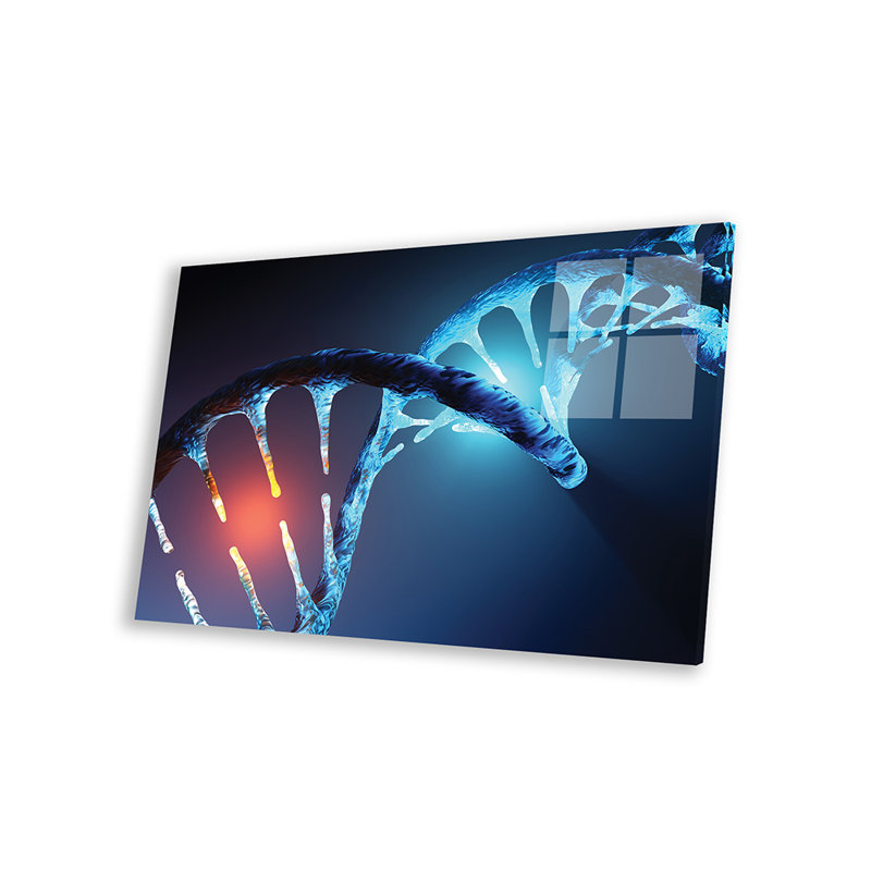 " DNA Strand " by Johan Swanepoel, 16" H x 24" W x 0.25" D