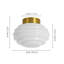 Glass and Frosted Glass Semi Flush Mount