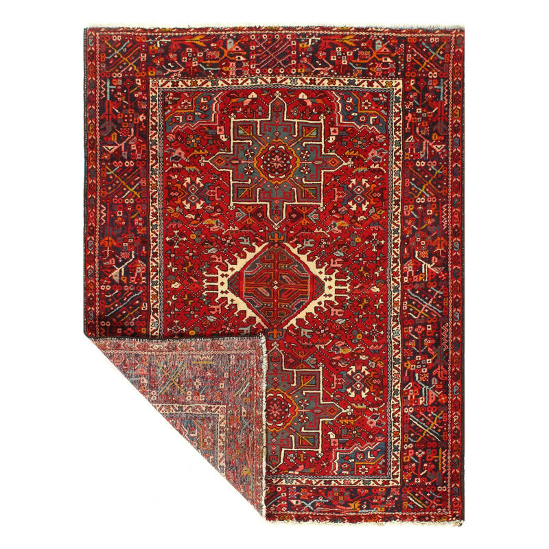 Imeria Oriental Area Rug in Rust
