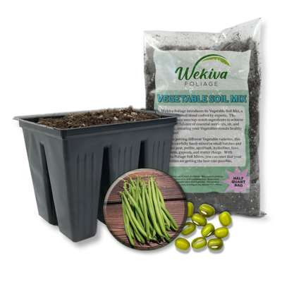 Bartram Green Bean Seed Starter Kit - Green Bean Seeds with Tray Liner and Half Quart Vegetable Soil - Grow Your Own Vegetables