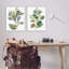 «Soft Eucalyptus Plant Ombre Leaves», ensemble de 2 giclées par Melissa Wang-2004379150-2004379151