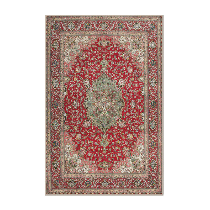 Oriental Indoor Rug, Rectangle 5' x 7'