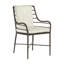 Carmel Patio Dining Armchair with Cushions-63361278-69974634