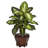 20.5'' Faux Foliage Plant in Wood Pot