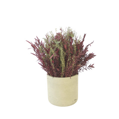 Dried Lepto in Green Container