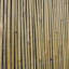 Dabria Bamboo-644526749