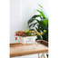 7 - Inch Tall White Distressed Wheelbarrow Planter, Can Hold String And Small Tools On Shelving Be Used As Stand Alone Piece Countertop