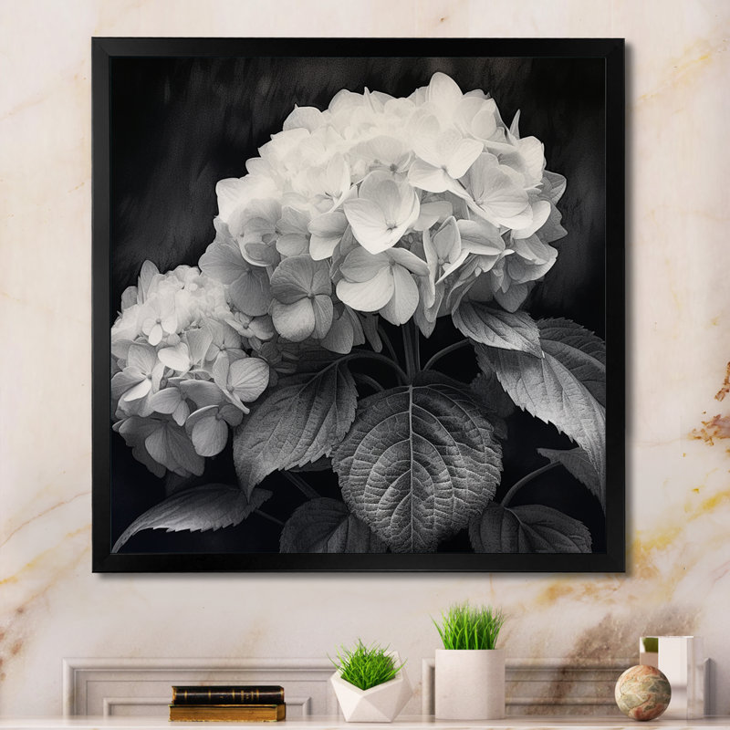" Gray White Hydrangea Bloom II ", 30" H x 30" W x 1" D, Black Picture Framed