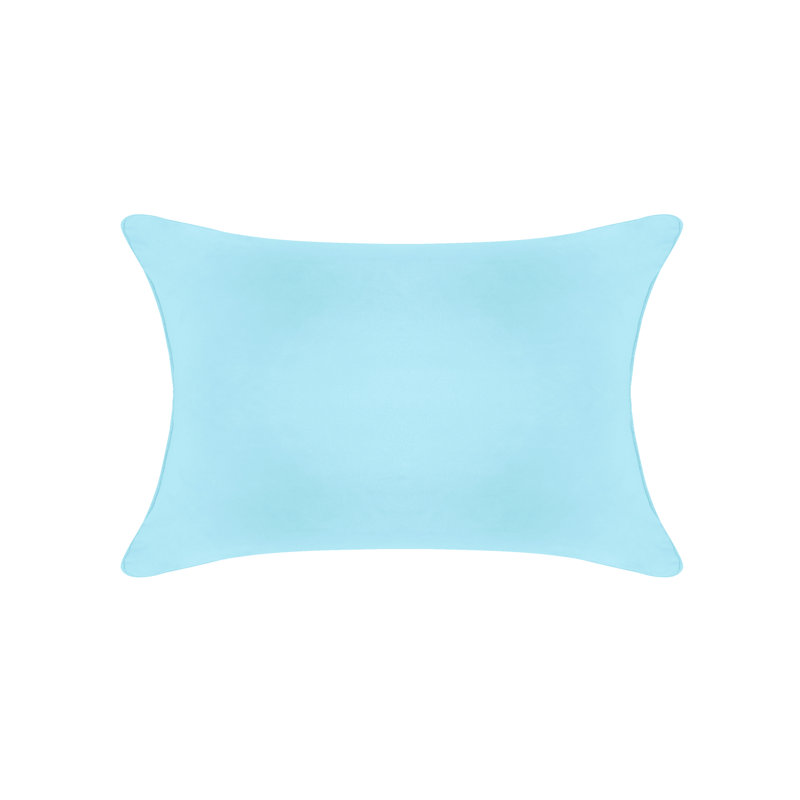 Light Blue Velvet 18" Square Throw Pillow with Hypoallergenic Fill