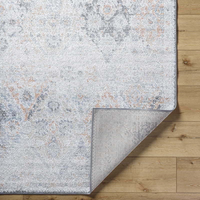 Reagyn Oriental Area Rug, Rectangle 60 x 90cm