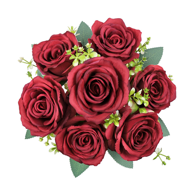 Roses, buissons, Rouge