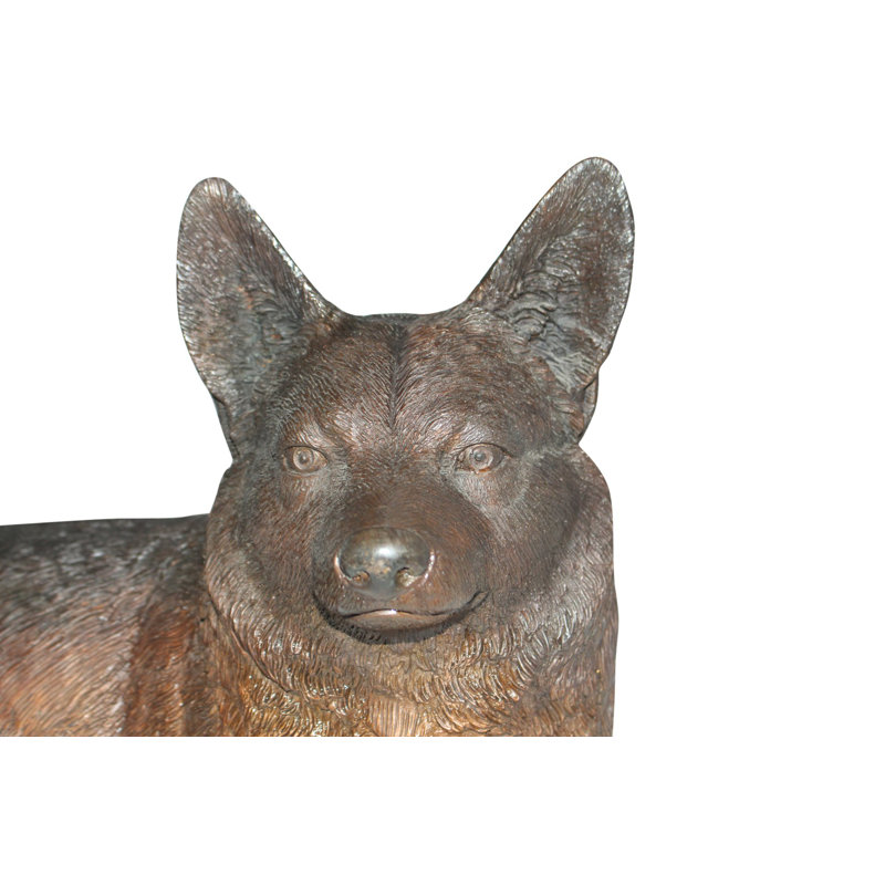 Figurine de sculpture en bronze au repos chien Corgi 20 po x 10 po x H 11,5 po
