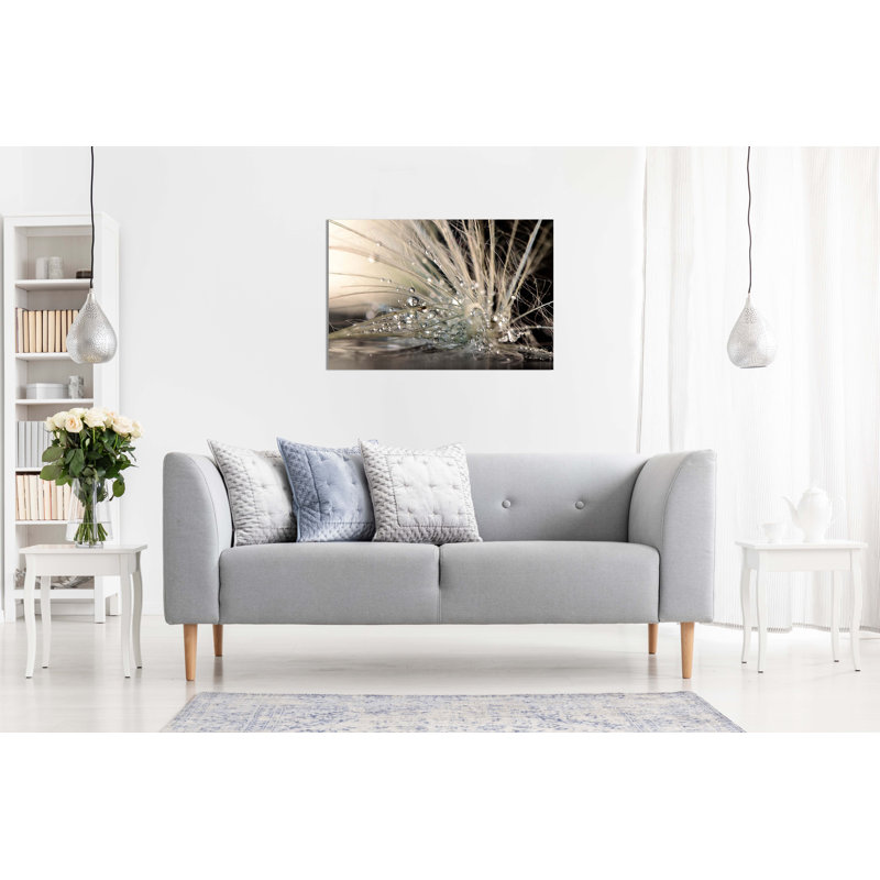 Water Droplets Feather - Wrapped Canvas Print, 41cm H x 61cm W