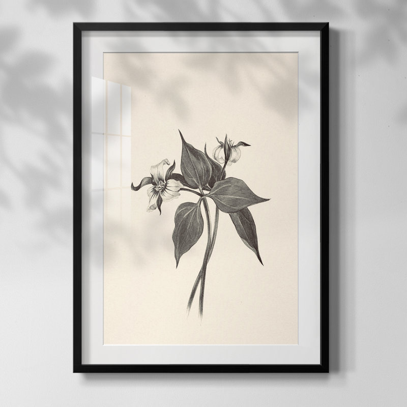 Imprimé floral rétro CLxx - impression encadrée, Noir