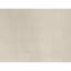 Wool Area Rug in Ivory