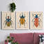 Beetle Bug I - ensemble de 3 peintures sur toile encadrées-1777886078-1777886077