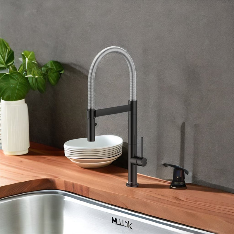 TONWIN Kitchen Faucet, Matte Black