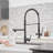 GAWEZA Pull Down Kitchen Faucet-86846741