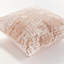 Hana Polyester Indoor/Outdoor Pillow Cover & Insert-436175623-436175624