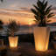 Rumba Planter-10841271