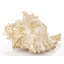 Higham Decorative Object