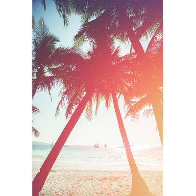 Sunset in tropics